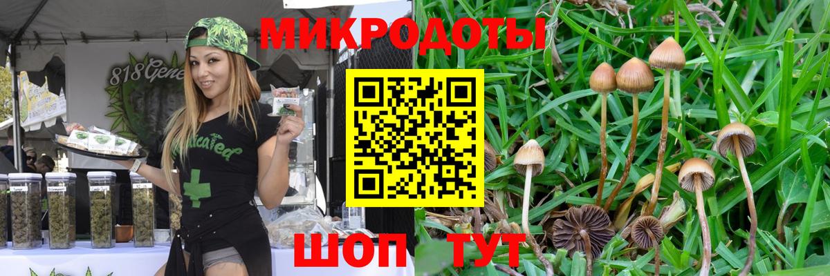 Галлюциногенные грибы Magic Shrooms  Вход с VPN  Галлюциногенные грибы Psilocybe  Кашира 